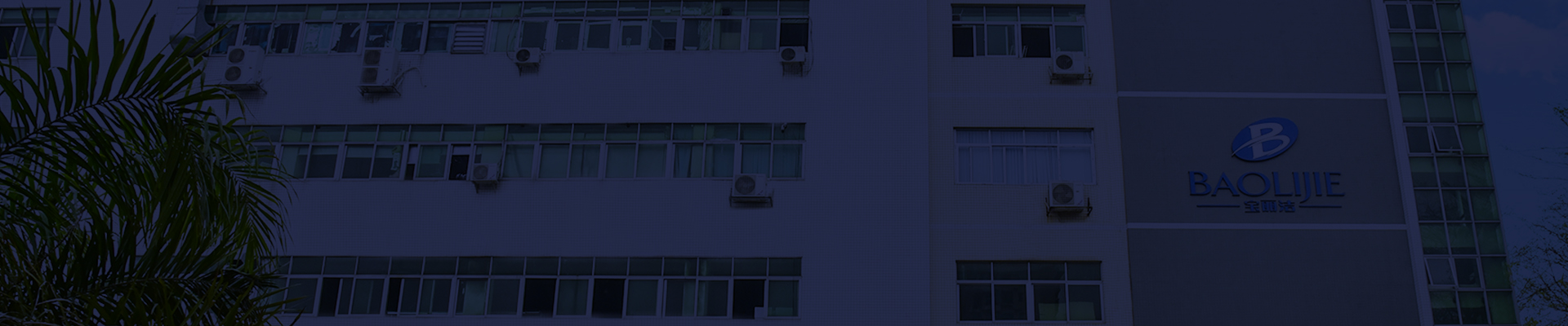 Shenzhen Baolijie Technology Co., Ltd. ملف الشركة