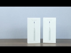 SN302 فرشاة الأسنان الكهربائية الصوتية للبالغين