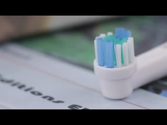 SB-17A رؤوس فرشاة الأسنان الكهربائية