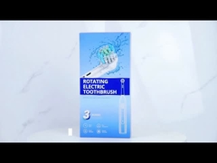 BX11 فرشاة أسنان كهربائية تدور صوتية